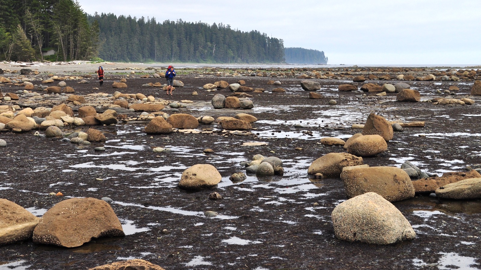 Hikers walking an exposed beach section of the West Coast Trail on Vancouver Island