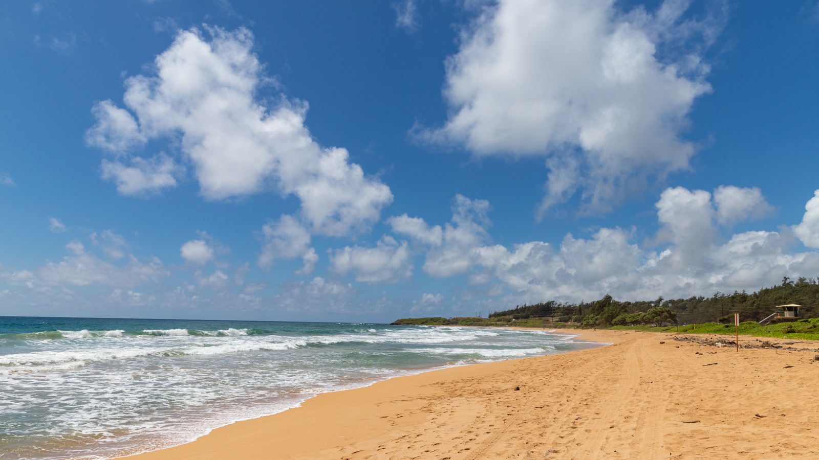 Wide sandy shoreline at Kealia Beach on Kauai with breaking surf, a lifeguard tower, and ironwood trees under a bright sky